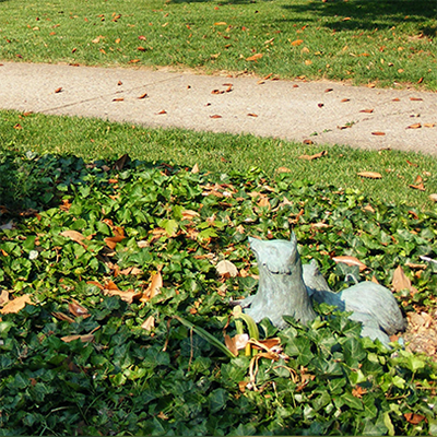 st. francis statues outdoor